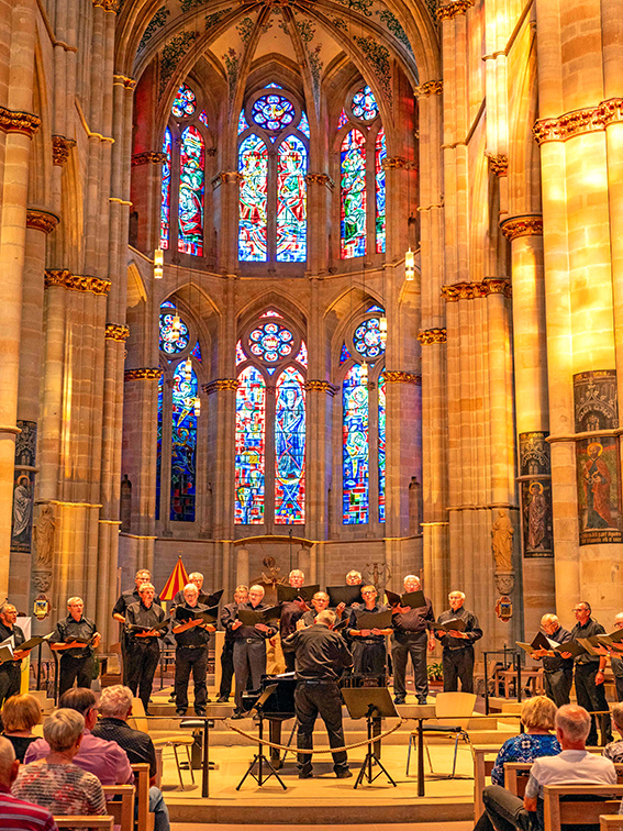 Enrich Scenic Germany